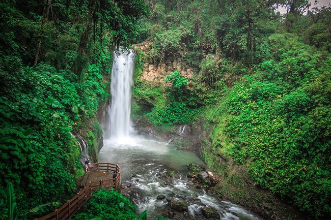 Combo Tour: Volcán Poás - Café Doka - Jardines Catarata La Paz Photo